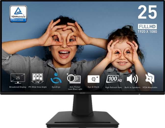 MSI PRO MP252 25"